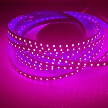 AvvRxx Светодиодная лента SMD2835 120leds/м 12/24В теплый/нейтральный/холодный белый 0.5/1/2/3/4/5/10м