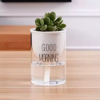 Автоматический горшок Cerakorie для суккулентов и кактусов