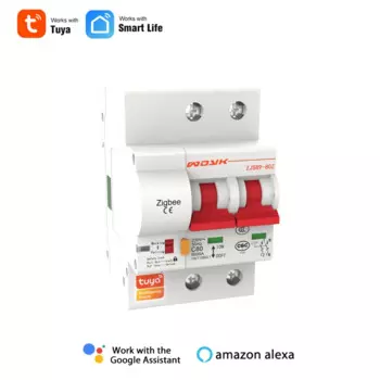 Автоматический выключатель Zigbee Tuya, умный двухфазный выключатель для Din-рейки, защита от короткого замыкания, 1P, 2P, с дистанционным управлением Alexa