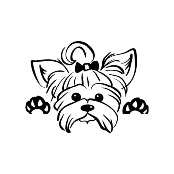 Автомобильные наклейки в виде животных