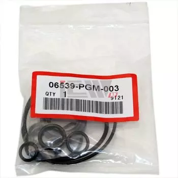 Автомобильный комплект для ремонта направленного насоса для Honda Odyssey 2002-2004 2.3L F23Z RA6