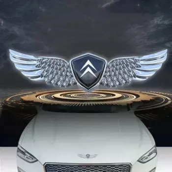 Автомобильный передний и задний значок, металлические крылья, наклейки для Citroen C4 C3 C5 C1 DS3 DS5 DS4 Jumper Berlingo ZX Xsara 2, модификация, украшение