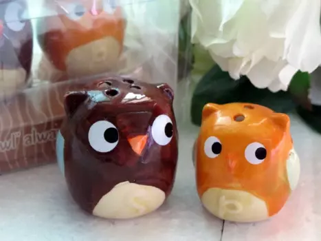 Бесплатная доставка, оптовая продажа, соляная кастрюля в виде совы, свадебный подарок для невесты, подарки, инструменты для готовки, 20 шт./лот