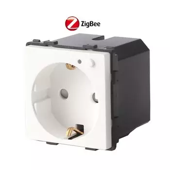 Bingoelec EU Standard Smart Zigbee Розетка