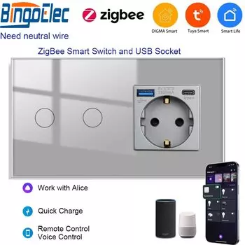 Bingoelec Умная розетка Zigbee с USB