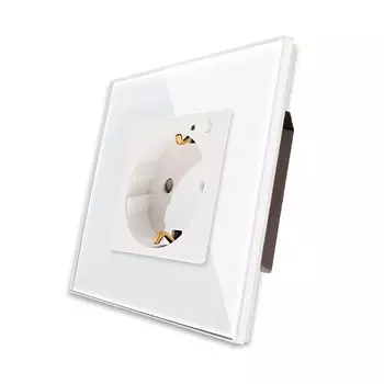 Bingoelec Zigbee розетка 16А 220В