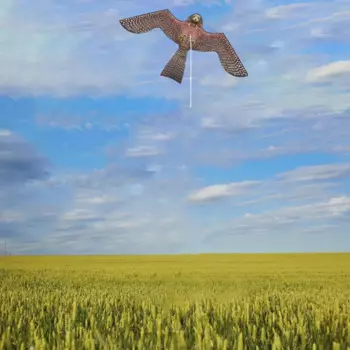 Воздушный змей-орёл для отпугивания птиц