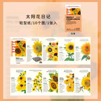 Блокноты для записей, бумажные цветы, 6 дизайнов