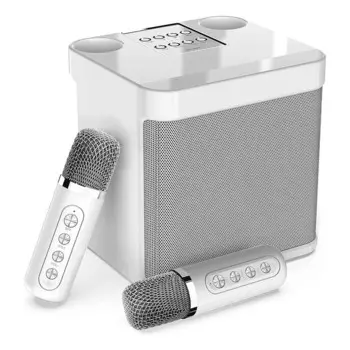 Bluetooth динамик PA System пения, 1 комплект + 2 беспроводных микрофона, для дома
