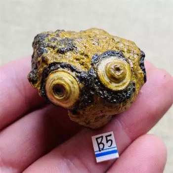 Большие камни Алашань Гоби Агат для дома