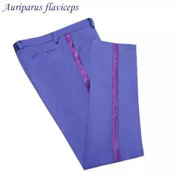 Брюки мужские, с отделкой, фиолетовые