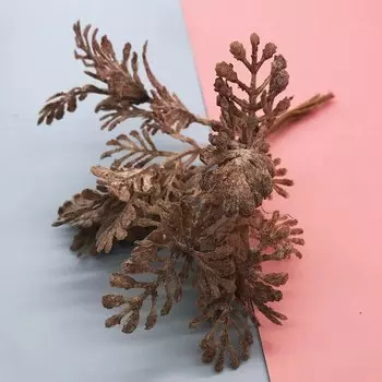 Букет из сухоцветов тростника