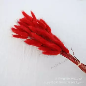 Букет из сушеных цветов MOONBIFFY