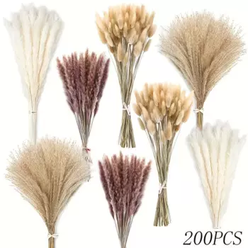 Букет сушеного пампаса YN HI FLOWER ENJOY YOUR LIFE