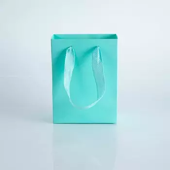 Бумажные подарочные пакеты Weikende сине-белые 10 шт