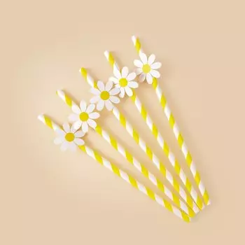 Бумажные соломинки с ромашками, 10 шт.