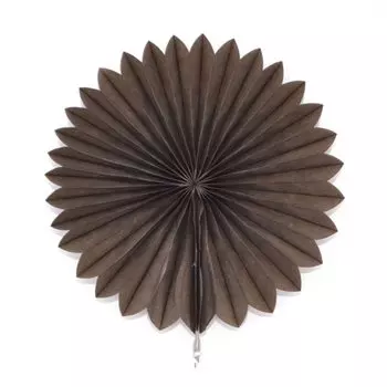 Декоративные бумажные поделки для свадебной вечеринки, 4-12 дюймов, бумажные веера, подвесные бумажные цветы «сделай сам» для свадьбы, дня рождения, праздника