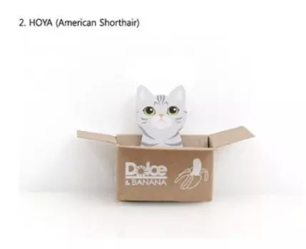 Бумажный блокнот с котом HonC