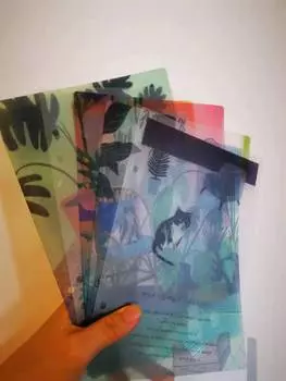 Бумажный разделитель Coliky 6 колец