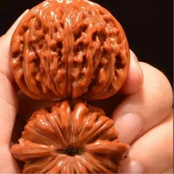 Бутик Old Tree Juglans HopeiPiecesВолоськие орехи Четыре офиса Кепка офицера льва GD Tiger Hand