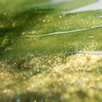 Чернила для перьевой ручки DINGYI STATIONERY DY2-AS8812 18 мл 18 цветов