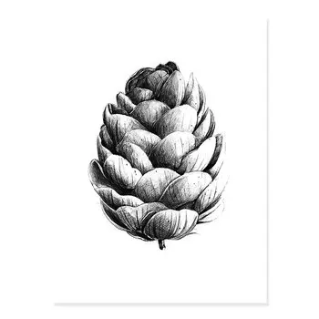 Черно-белый эскиз сосновой шишки, Sure Life Style Nordic