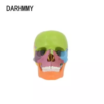 DARHMMY 4D съемный цветной мини-череп