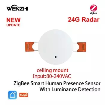 Датчик движения Wenzhi ZigBee 5.8/24G