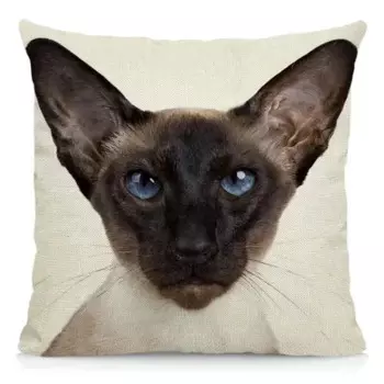 Декоративная наволочка 45x45 см, полиэстер, кот