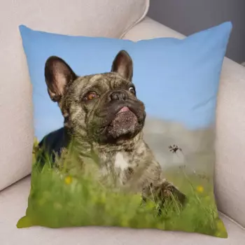 Декоративная наволочка с французским бульдогом