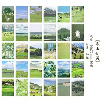 Декоративные бумажные наклейки-книжки Mengtai