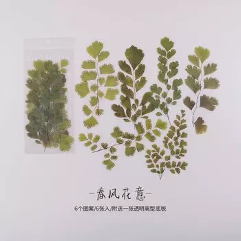 Декоративные наклейки Mengtai для скрапбукинга