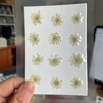 Декоративные сушеные снежные капли NYAConfetti