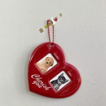 Держатель для карт SFG HOUSE красный