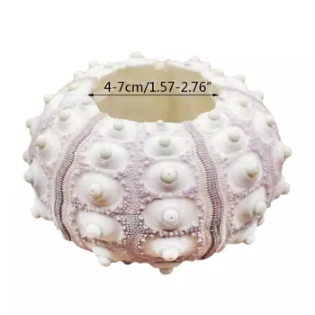 Держатель для воздушных растений из натурального морского ежа ADUWRSE