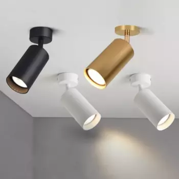 Потолочный светильник IWP белый/черный/античный золотой