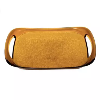 DOLBOVI Acrylic Honey Color tray tray поднос plateau de service
