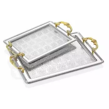 DOLBOVI SUBMERSIBLE 2 L RECTANGLE TARNISH tray SILVER COLOR tray поднос plateau de service