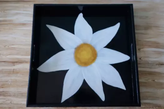 DOLBOVI tray tray поднос plateau de service
