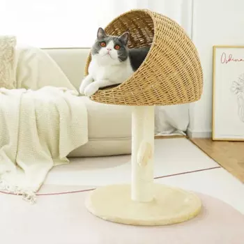 Домашняя многофункциональная кровать для кошек из ротанга, плетеный домик для кошек, дышащий наполнитель для кошек, стабильный несущий