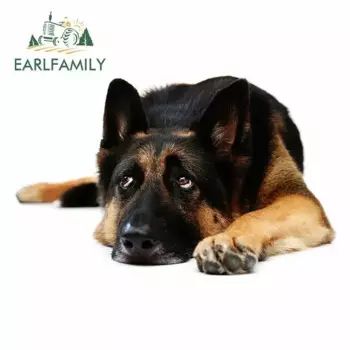 EARLFAMILY 13 см x 8,2 см, лежащая плоская немецкая овчарка, фотография, интересное оформление окон, белый цвет, модный Декор