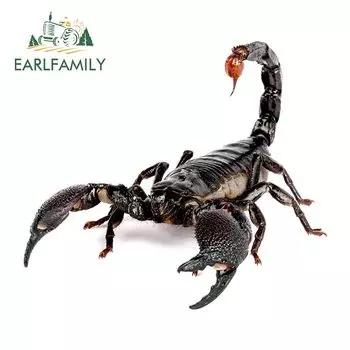 EARLFAMILY 3D наклейка на автомобиль в виде паука, ящерицы, Скорпиона, 3D наклейка на автомобиль с животным узором, окно, зеркало, бампер, водонепроницаемая наклейка, автомобильные аксессуары