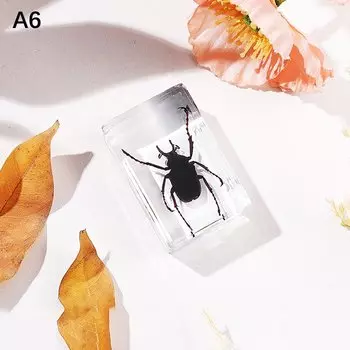 Фигурки жуков из смолы PlumHOME