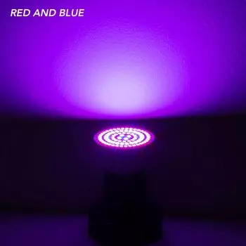 Фитолампа WENNI для растений 220В