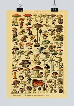 Фотообои "Ботаника" Lanxihaibao