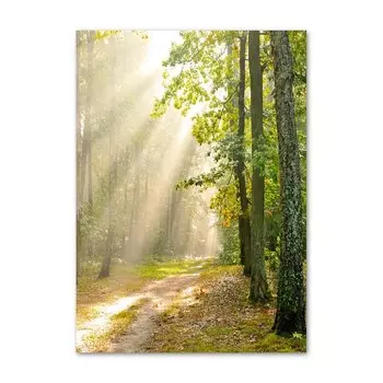 Фотообои OYFFL "Скандинавский пейзаж"