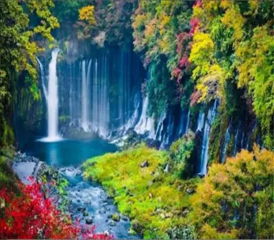 Фотообои по индивидуальному размеру