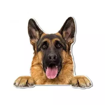 FUYOOHI игровые наклейки для бельгийской овчарки Малинус, полицейская спасательная гвардия, собака, графика, забавный бампер, настенные наклейки для ноутбука, декор автомобиля
