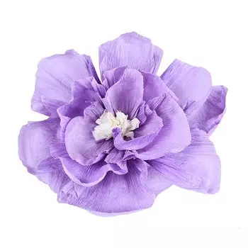 Гигантские бумажные розы ZQNYCY