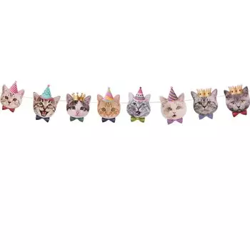 Гирлянда с днем рождения для кошки